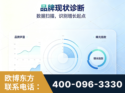 邵武-品牌现状诊断