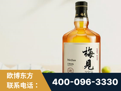 邵武-梅见青梅酒